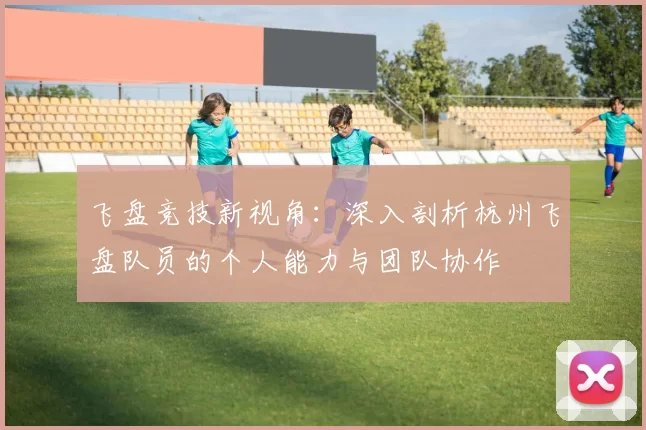 飞盘竞技新视角：深入剖析杭州飞盘队员的个人能力与团队协作