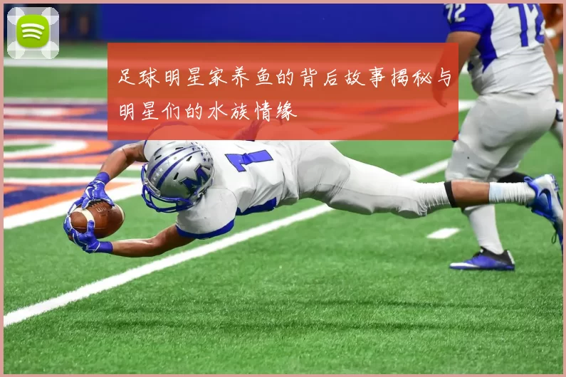 足球明星家养鱼的背后故事揭秘与明星们的水族情缘