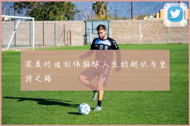深度对话刘伟排球人生的起伏与坚持之路