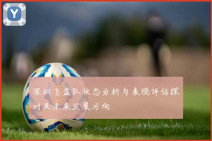 深圳飞盘队状态分析与表现评估探讨及未来发展方向