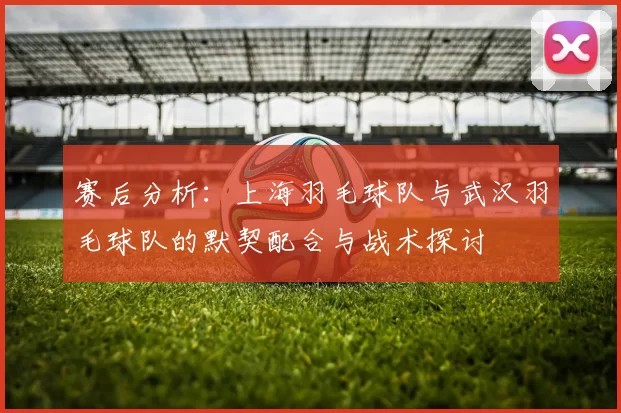 赛后分析：上海羽毛球队与武汉羽毛球队的默契配合与战术探讨