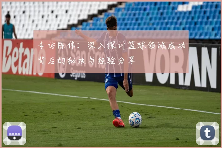 专访陈伟：深入探讨篮球领域成功背后的秘诀与经验分享