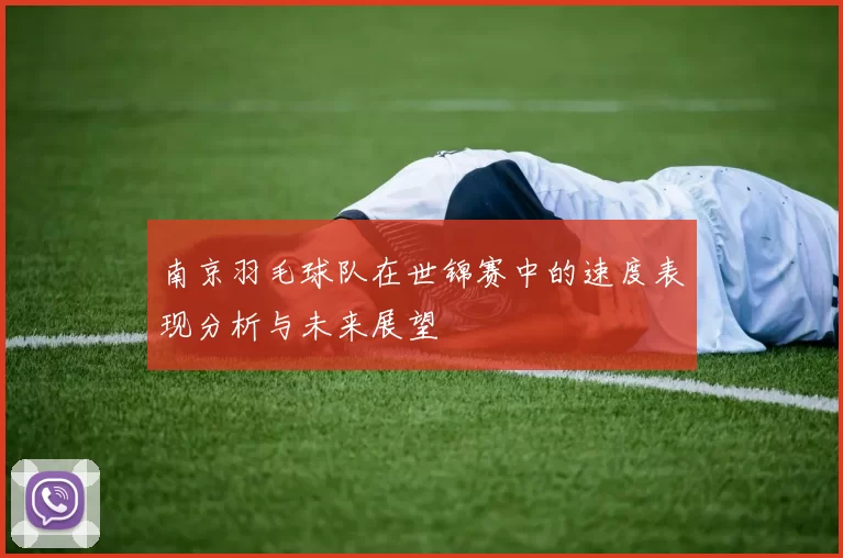 南京羽毛球队在世锦赛中的速度表现分析与未来展望