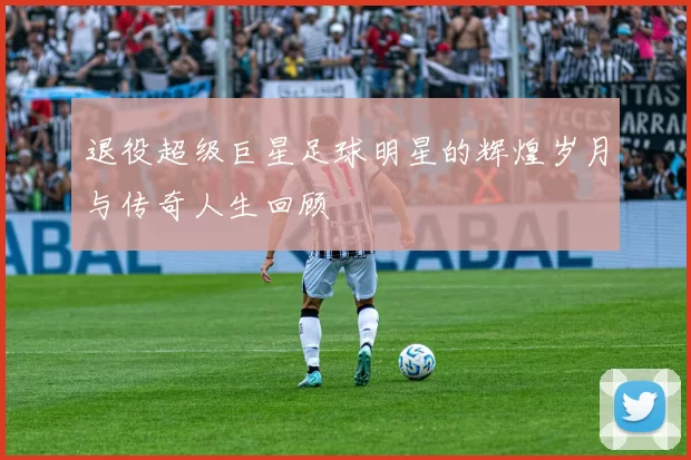 退役超级巨星足球明星的辉煌岁月与传奇人生回顾