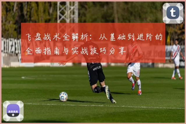 飞盘战术全解析：从基础到进阶的全面指南与实战技巧分享