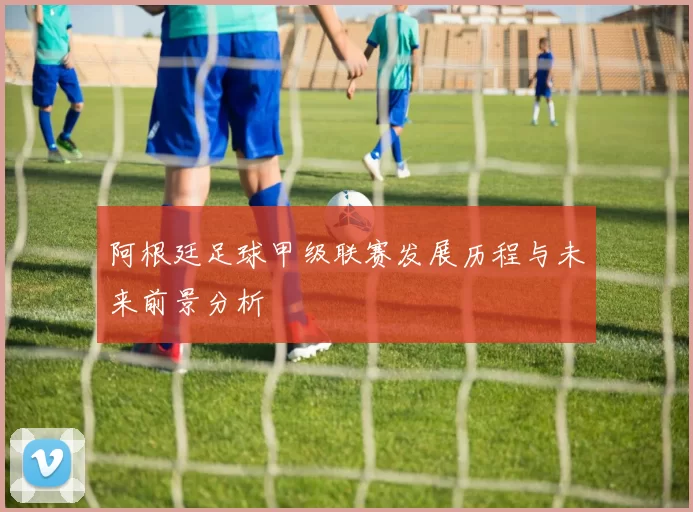 阿根廷足球甲级联赛发展历程与未来前景分析