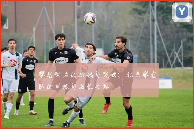 攀岩耐力的挑战与突破：北京攀岩队的训练与成长之路