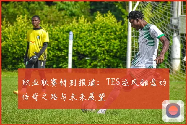 职业联赛特别报道：TES逆风翻盘的传奇之路与未来展望