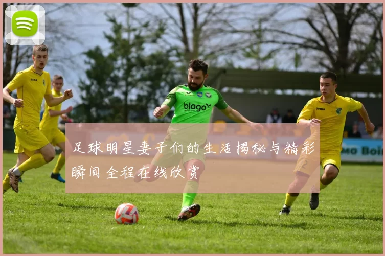 足球明星妻子们的生活揭秘与精彩瞬间全程在线欣赏