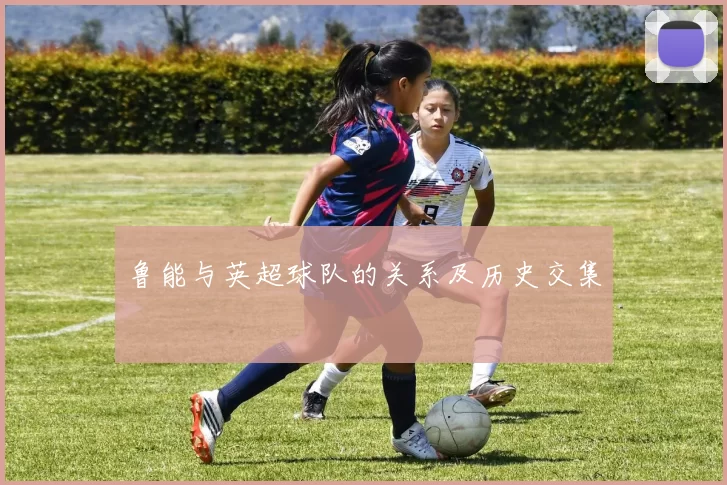 鲁能与英超球队的关系及历史交集