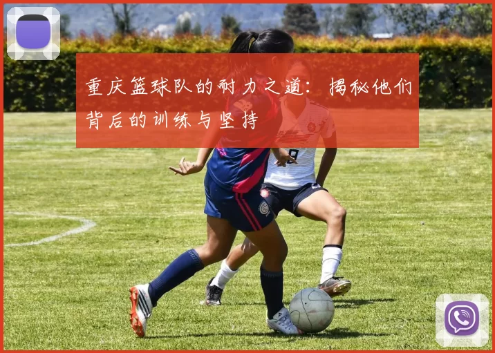 重庆篮球队的耐力之道：揭秘他们背后的训练与坚持